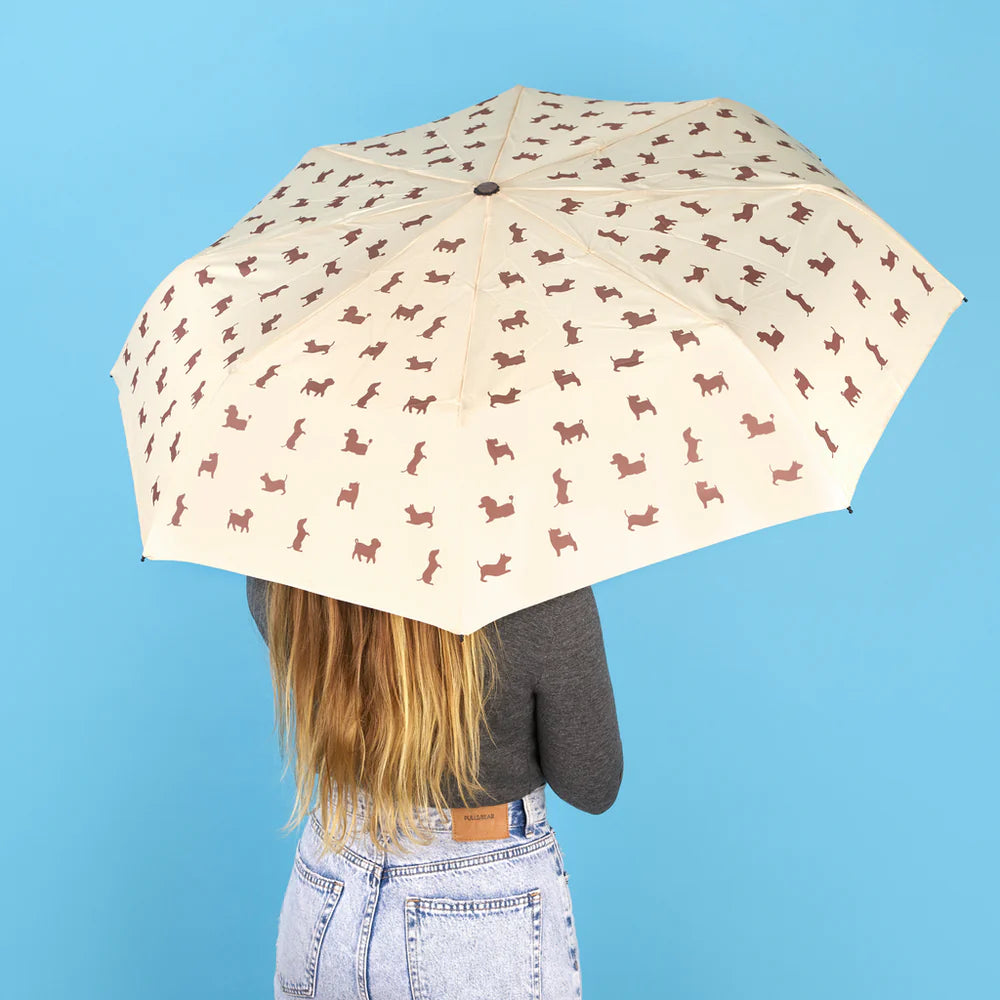 ombrello pieghevole CANE BEIGE