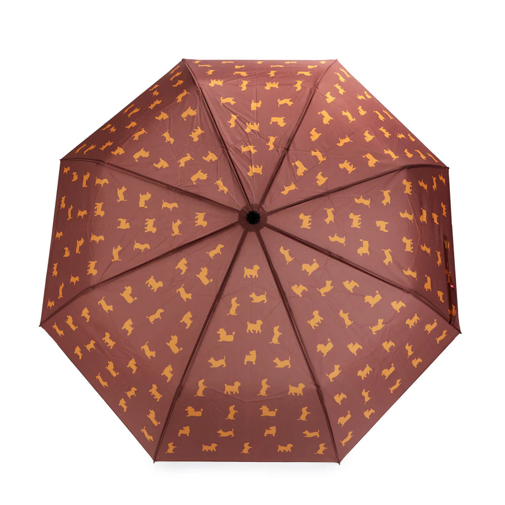ombrello pieghevole CANE MARRONE