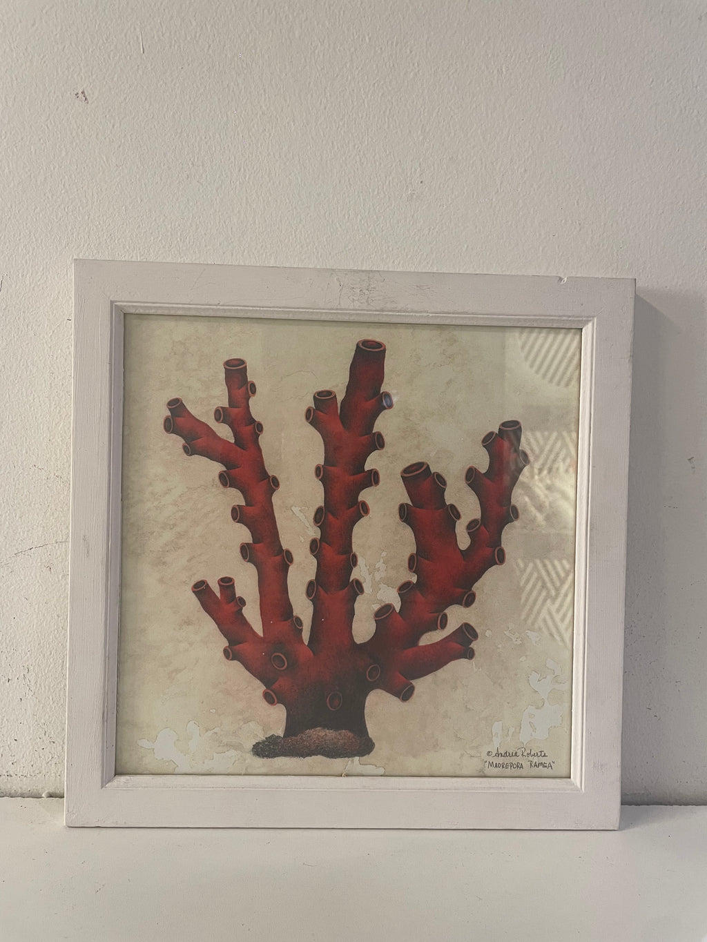 quadro CORALLO 2
