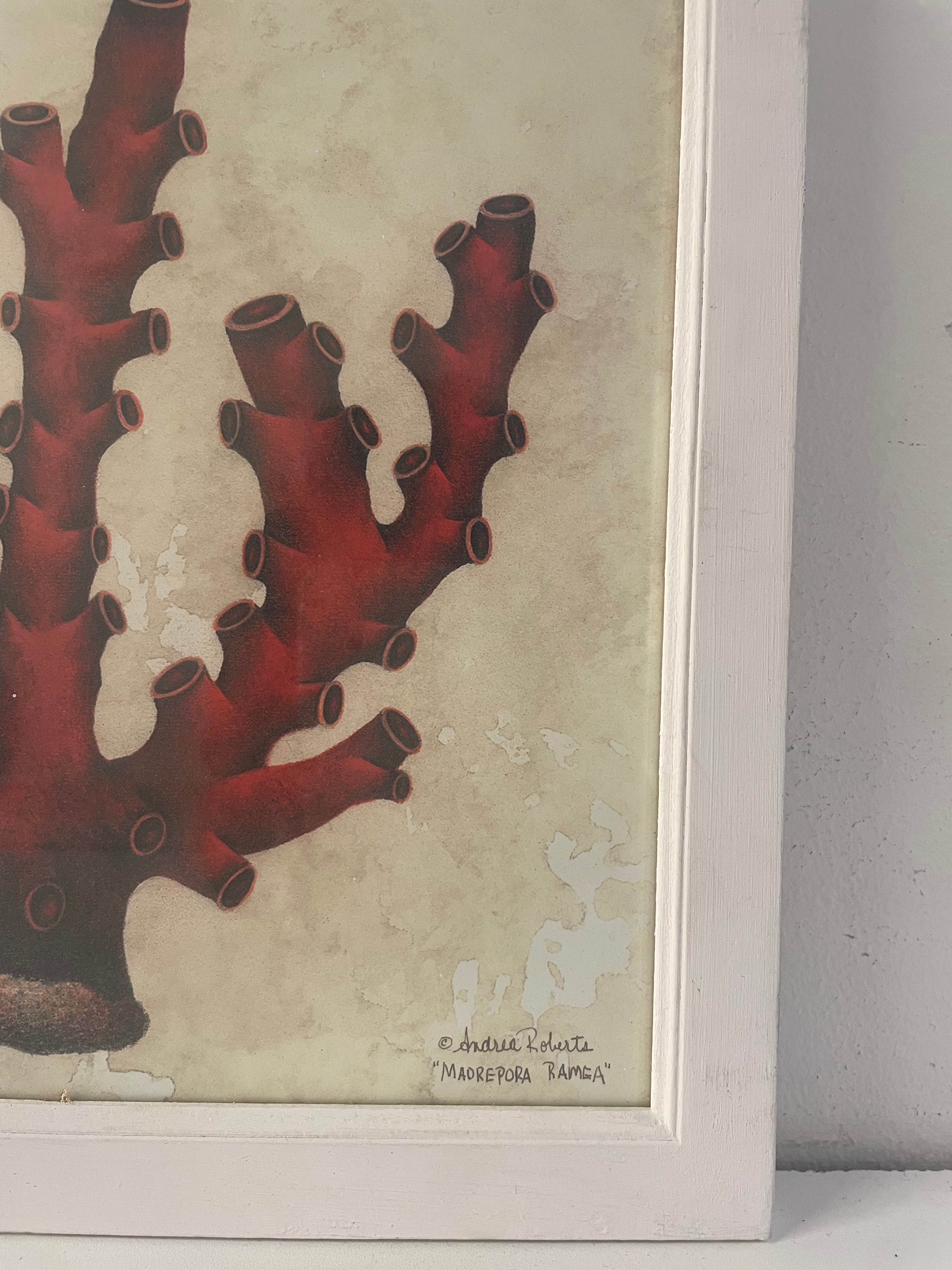 quadro CORALLO 2