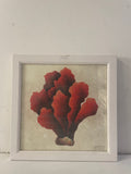 quadro CORALLO 1