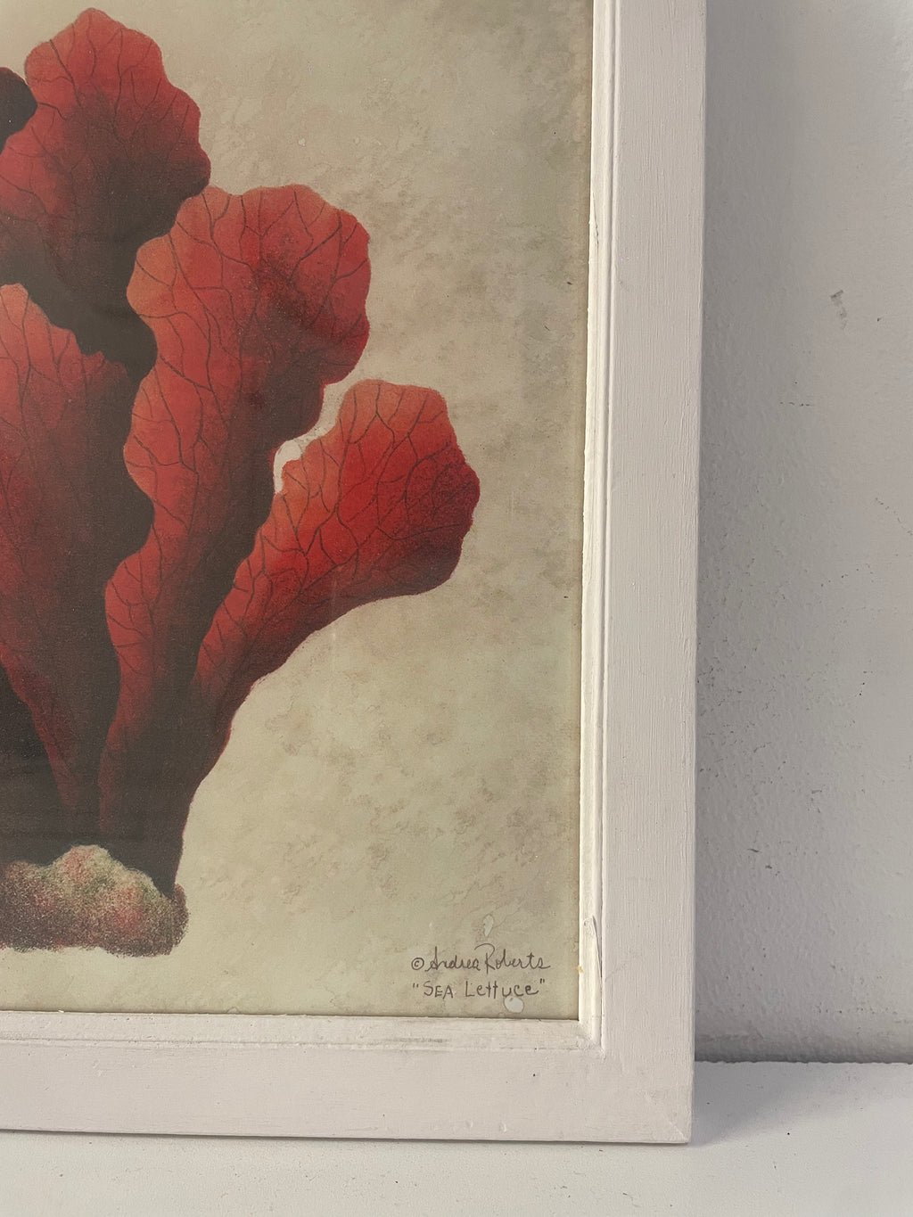quadro CORALLO 1