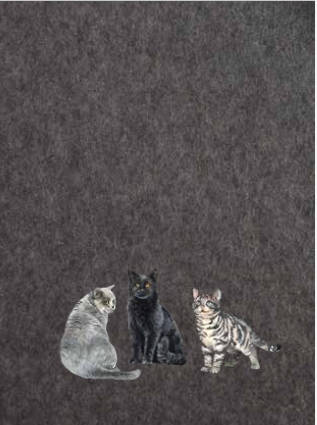 plaid GATTI