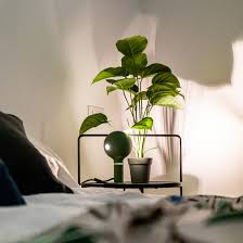 lampada tavolo IRIDE verde