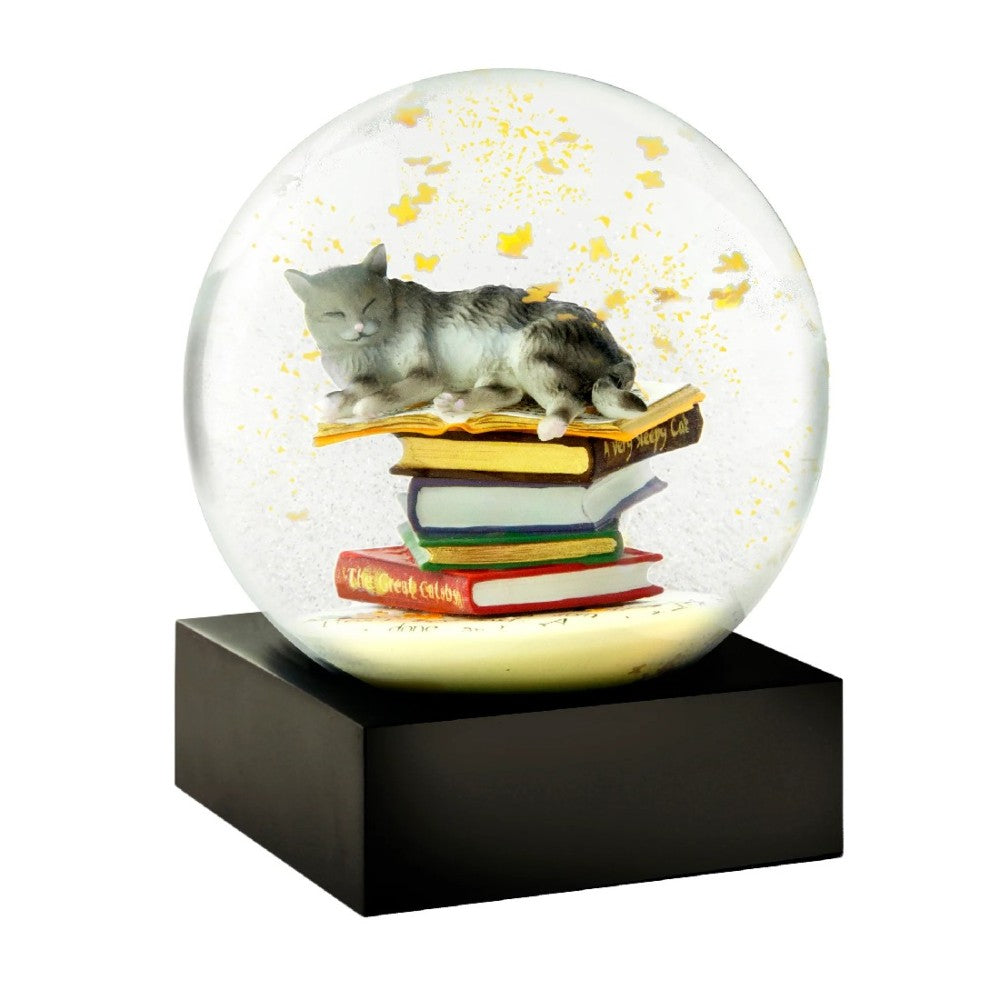 snowglobes GATTO e LIBRI